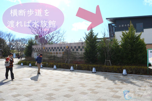 京都水族館